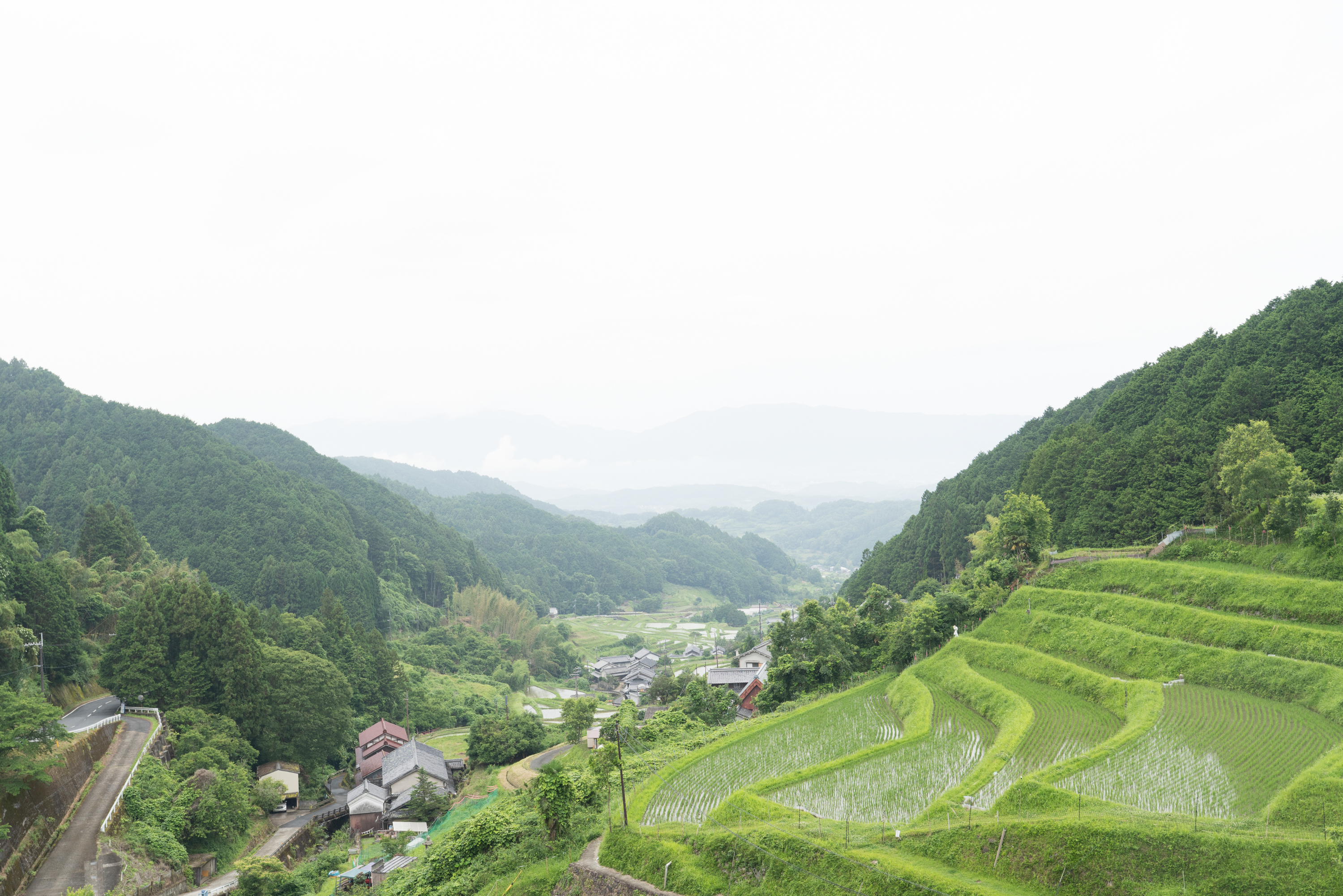 あわと土 明日香村